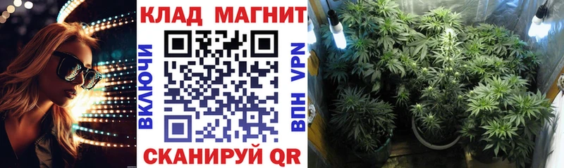 Магазин наркотиков Камень-на-Оби APVP  ГАШИШ  Конопля 