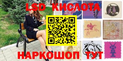 амф Можга