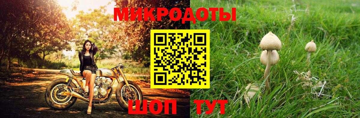 что такое наркотик  Псилоцибиновые грибы MAGIC MUSHROOMS  Вход с VPN  Камень-на-Оби 